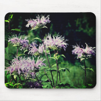 Alfombrilla De Ratón Flores de Bee Balm Púrpura
