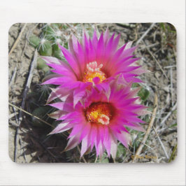 Alfombrilla De Ratón Flores de Cactus Bola F5 "Escobaria vivipara"