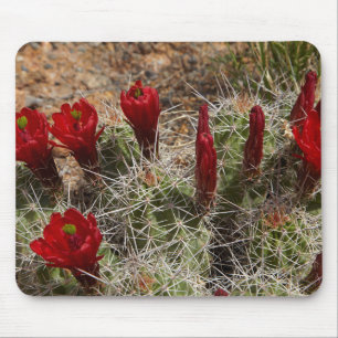 Alfombrilla De Ratón flores de cactus Copa de Clarete 2