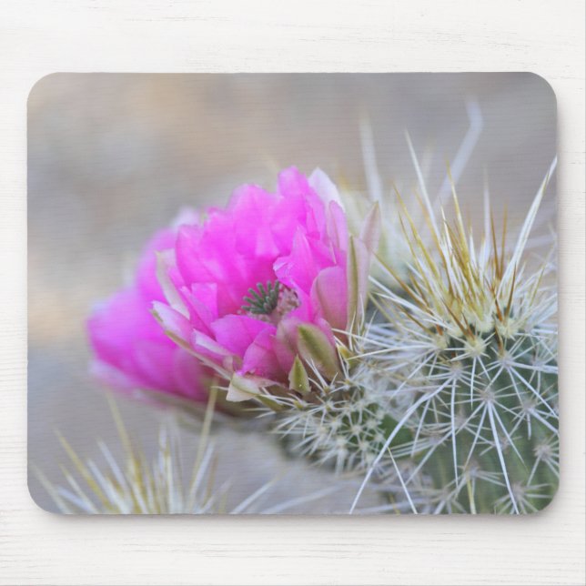 Alfombrilla De Ratón Flores de Cactus rosadas (Frente)