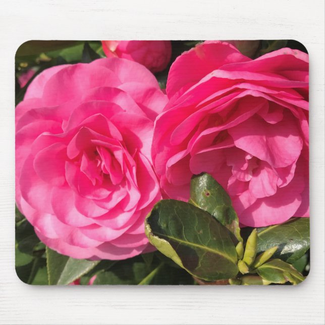 Alfombrilla De Ratón Flores de camellia rosadas oscuras (Frente)