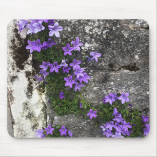 Alfombrilla De Ratón Flores de Campanula creciendo en una pared