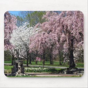 Alfombrilla De Ratón Flores de cerezo en Philadelphia Mousepad