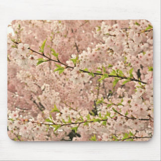 Alfombrilla De Ratón Flores de cerezo en primavera