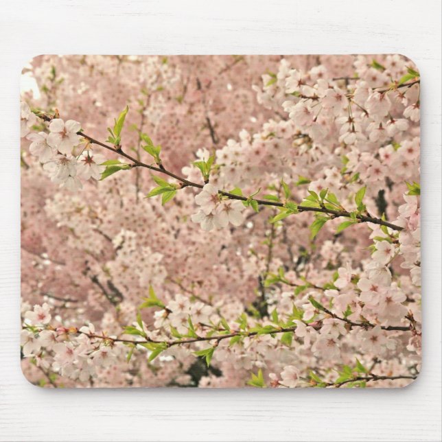 Alfombrilla De Ratón Flores de cerezo en primavera (Frente)