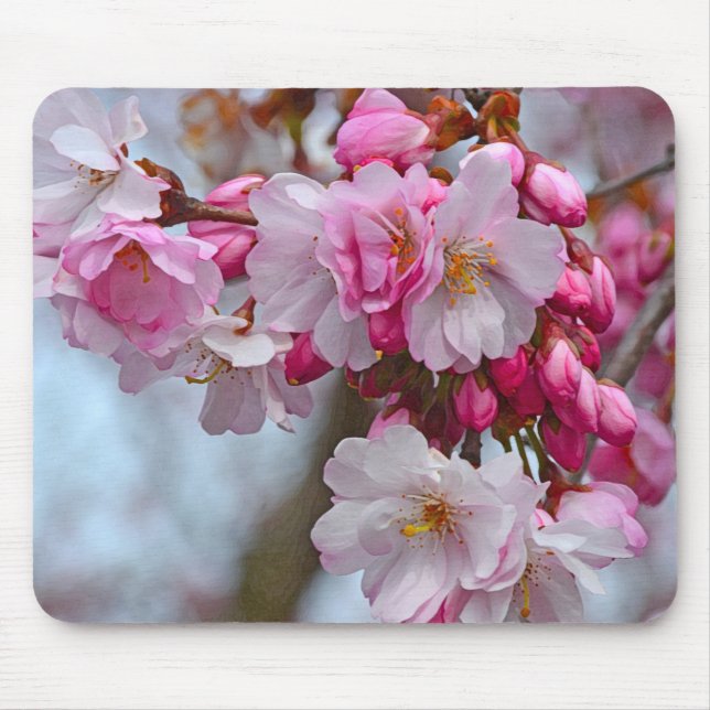 Alfombrilla De Ratón Flores de cerezo rosa (Frente)