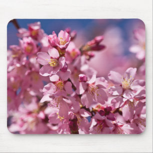 Alfombrilla De Ratón Flores de Cerezo Sakura Besadas por la Luz del Sol