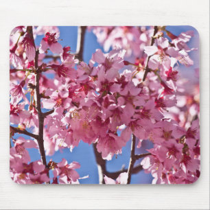 Alfombrilla De Ratón Flores de Cerezo Sakura Estrellas Rojas