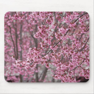 Alfombrilla De Ratón Flores de cerezo Sakura rosadas flotando