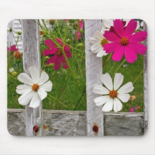 Alfombrilla De Ratón Flores de Cosmos en una vieja cerca (Frente)