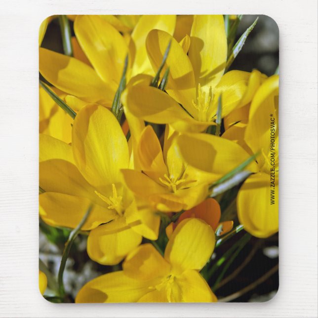 Alfombrilla De Ratón Flores de crocus amarillos (Frente)