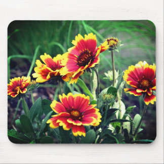 Alfombrilla De Ratón Flores de Daisy en blanco