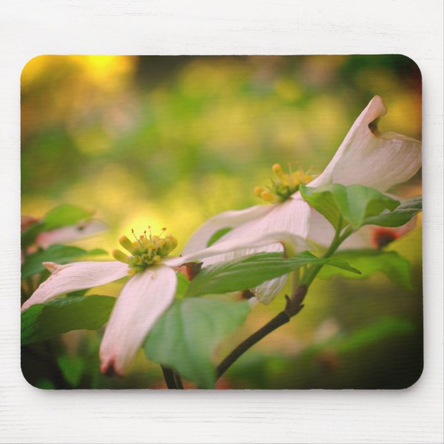 Alfombrilla De Ratón Flores de dogwood blancas (Frente)