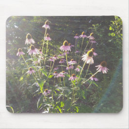 Alfombrilla De Ratón Flores de Echinacea al Sol