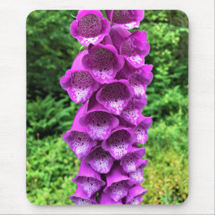 Alfombrilla De Ratón Flores de Foxglove, Oregón