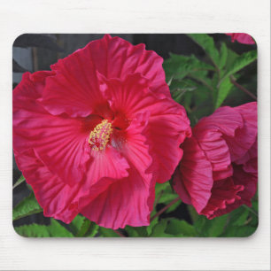 Alfombrilla De Ratón Flores de hibiscos rosas