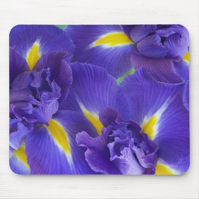 Alfombrilla De Ratón flores de Iris (Frente)