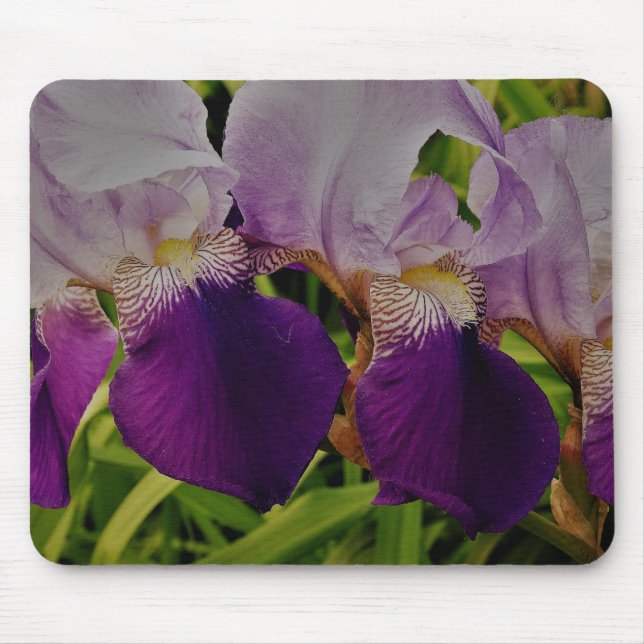 Alfombrilla De Ratón Flores de iris morado foto Mousepad (Frente)