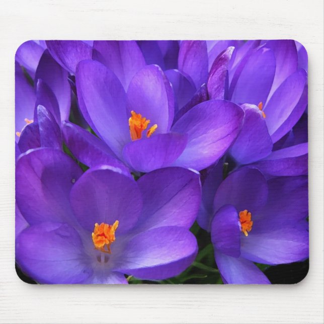 Alfombrilla De Ratón Flores de jardín de crocus púrpura mousepad (Frente)