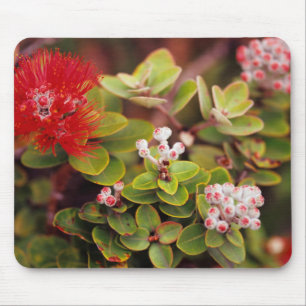 Alfombrilla De Ratón Flores de Lehua en volcanes de Hawái