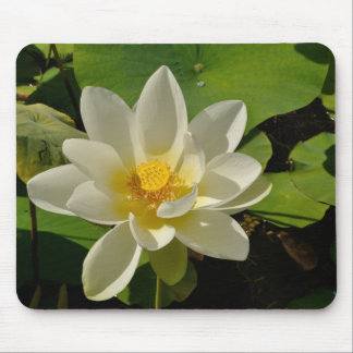 Alfombrilla De Ratón Flores de Lotus en un estanque