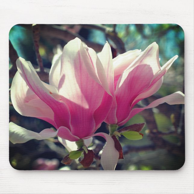 Alfombrilla De Ratón Flores de magnolia rosa (Frente)
