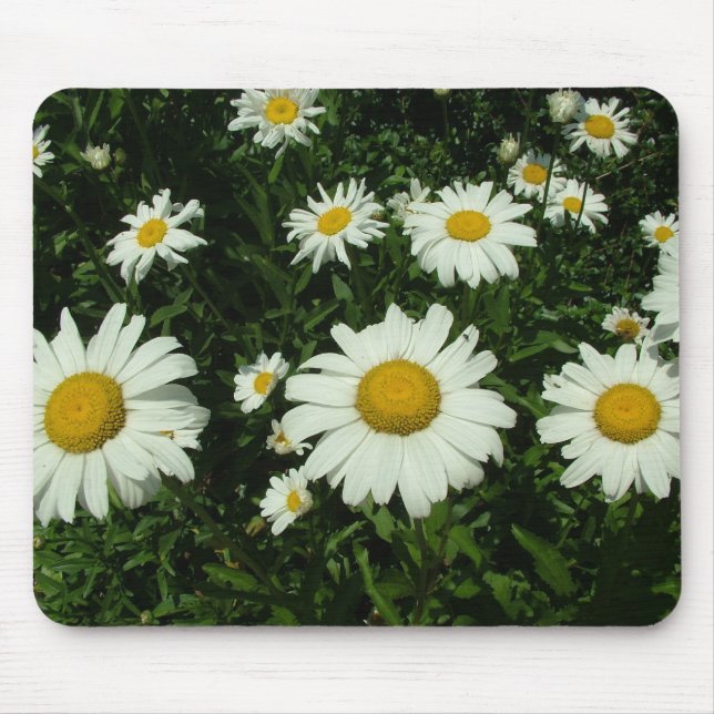 Alfombrilla De Ratón flores de margarita blancas (Frente)