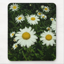 Alfombrilla De Ratón flores de margarita blancas de bonito.