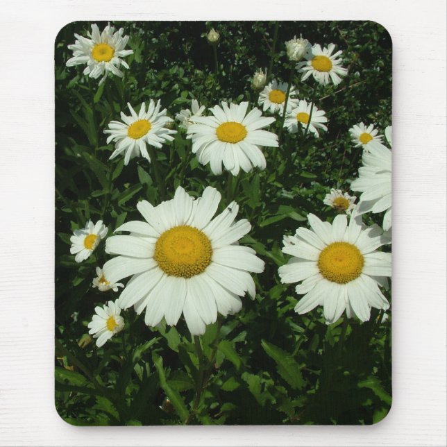 Alfombrilla De Ratón flores de margarita blancas de bonito. (Frente)