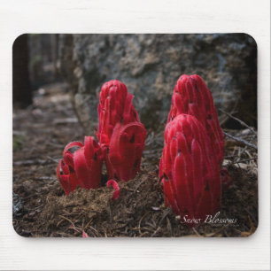 Alfombrilla De Ratón Flores de nieve