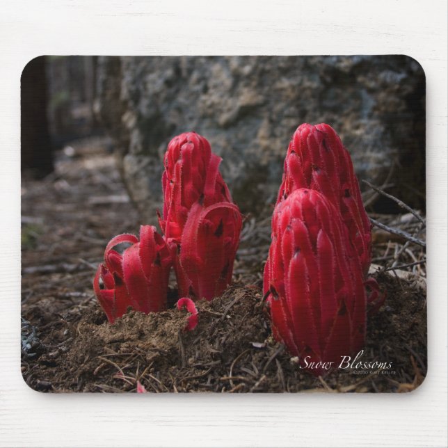 Alfombrilla De Ratón Flores de nieve (Frente)