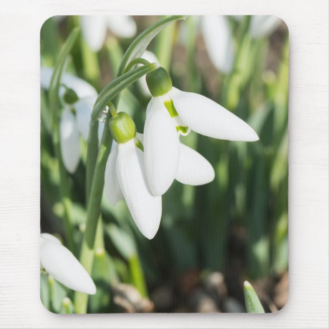 Alfombrilla De Ratón Flores de nieve (Frente)