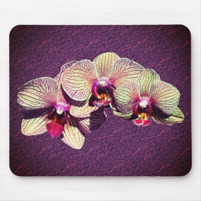 Alfombrilla De Ratón Flores de orquídeas brillantes (Frente)