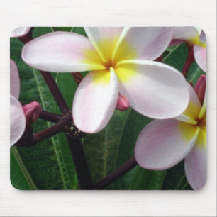 Alfombrilla De Ratón Flores de plumeria hawaiana