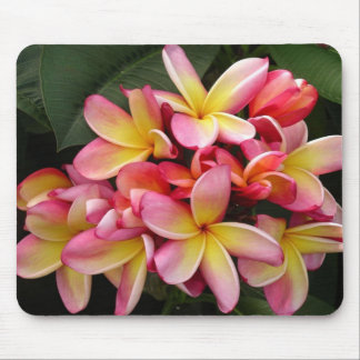 Alfombrilla De Ratón Flores de Plumeria Tropical Rosa y Amarilla