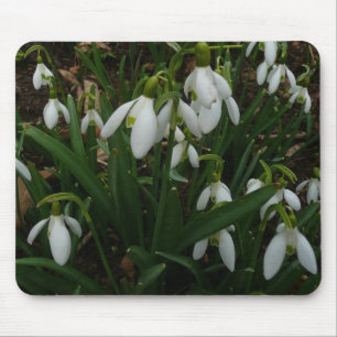 Alfombrilla De Ratón Flores de Primavera Blanca (Galanthus)
