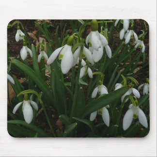 Alfombrilla De Ratón Flores de Primavera Blanca (Galanthus)
