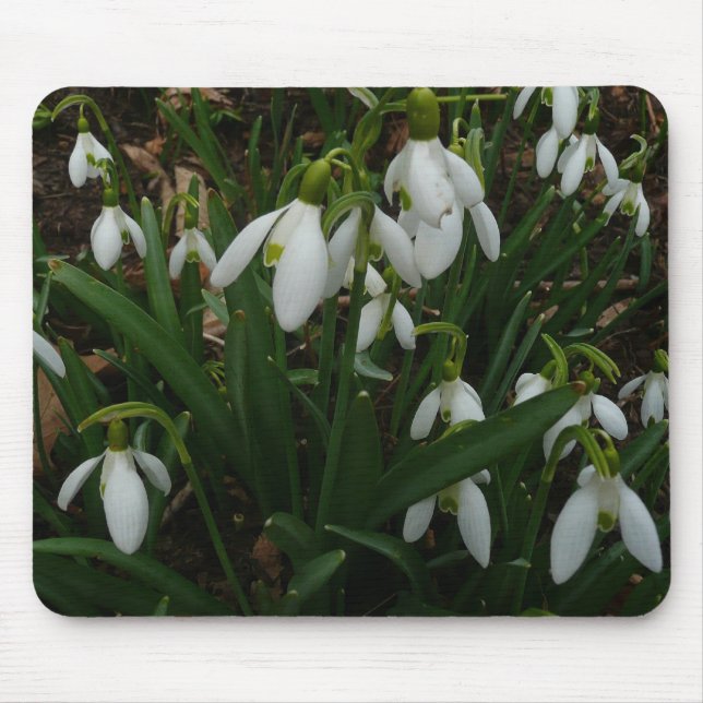 Alfombrilla De Ratón Flores de Primavera Blanca (Galanthus) (Frente)
