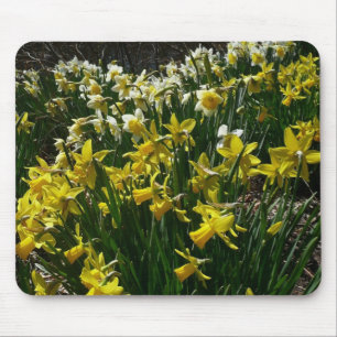 Alfombrilla De Ratón Flores de primavera de los Daffodils amarillos y b