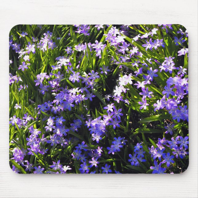 Alfombrilla De Ratón Flores de primavera de zales azules (Frente)