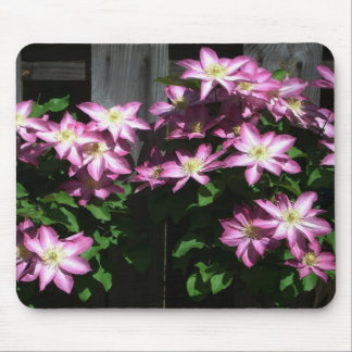 Alfombrilla De Ratón Flores de primavera púrpura Clematis en escalada