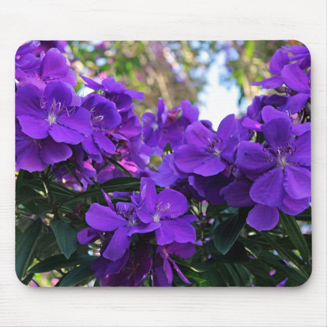 Alfombrilla De Ratón Flores de Tibouchina (Frente)