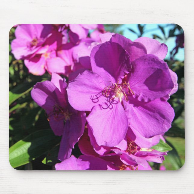 Alfombrilla De Ratón Flores de Tibouchina (Frente)