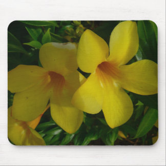 Alfombrilla De Ratón Flores de trompeta doradas II tropicales