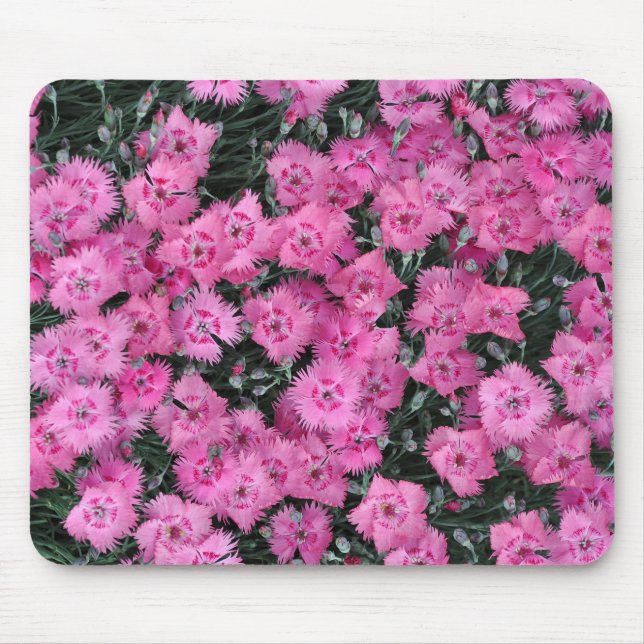 Alfombrilla De Ratón Flores de william dulce rosa (Frente)