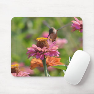 Alfombrilla De Ratón Flores de Zinnia Rosadas Fotografía de Colibrí