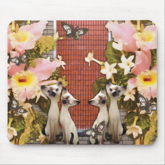 Alfombrilla De Ratón flores del amor de los kats del gatito