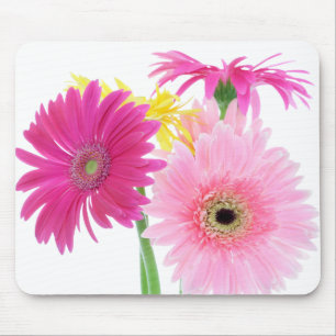 Alfombrilla De Ratón Flores del rosa de la margarita del Gerbera