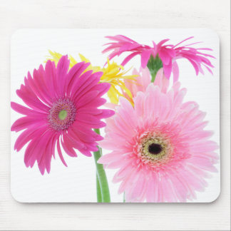 Alfombrilla De Ratón Flores del rosa de la margarita del Gerbera