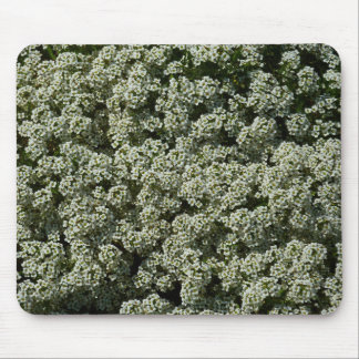 Alfombrilla De Ratón Flores dulces de alyssum florales blancas